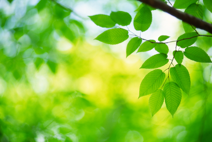 top destinations for spring