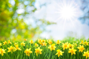 5 of the Best Places for Springtime Day Trips